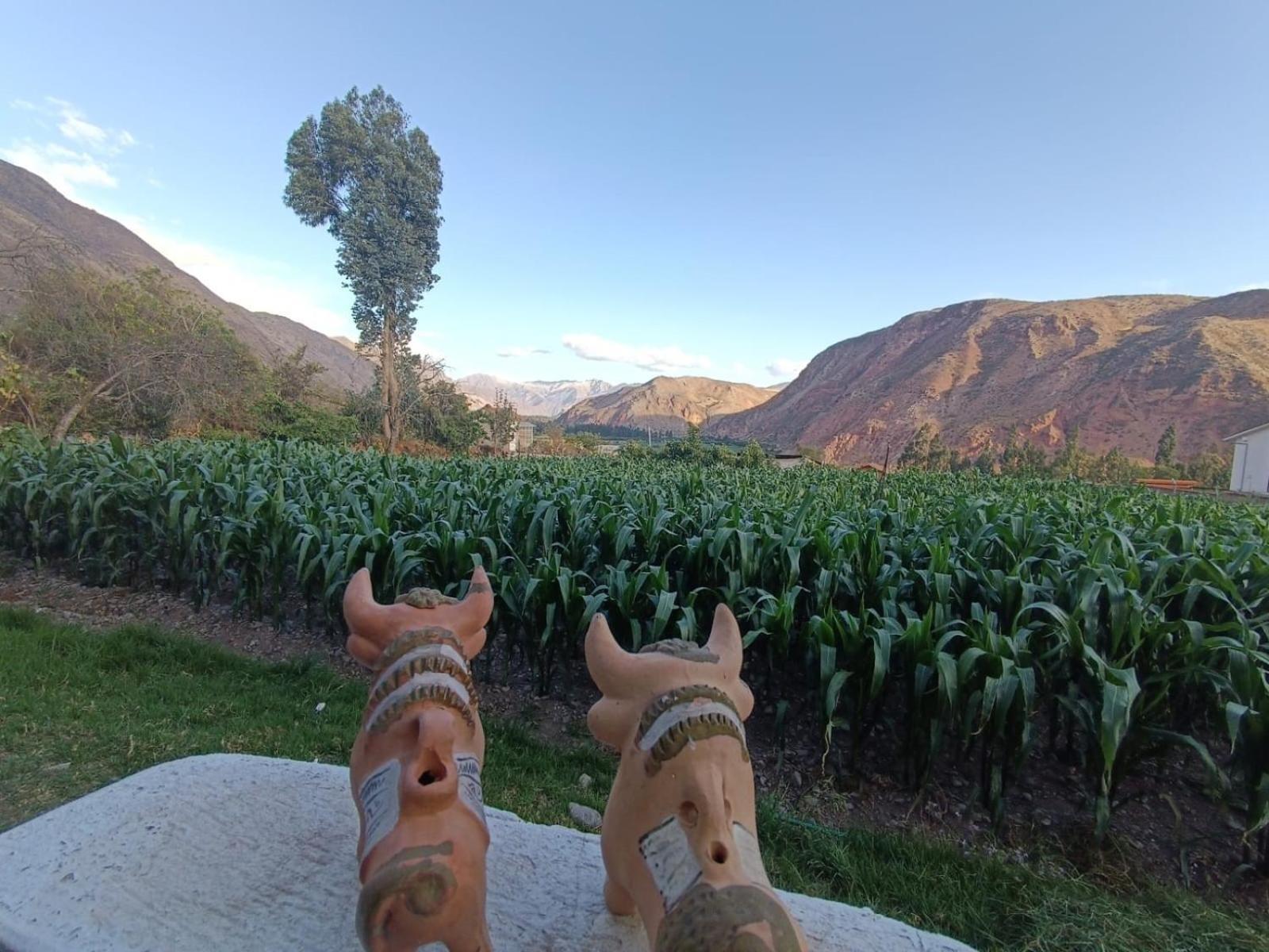 Casa Yanahuara Valle Sagrado - Urubamba Kültér fotó